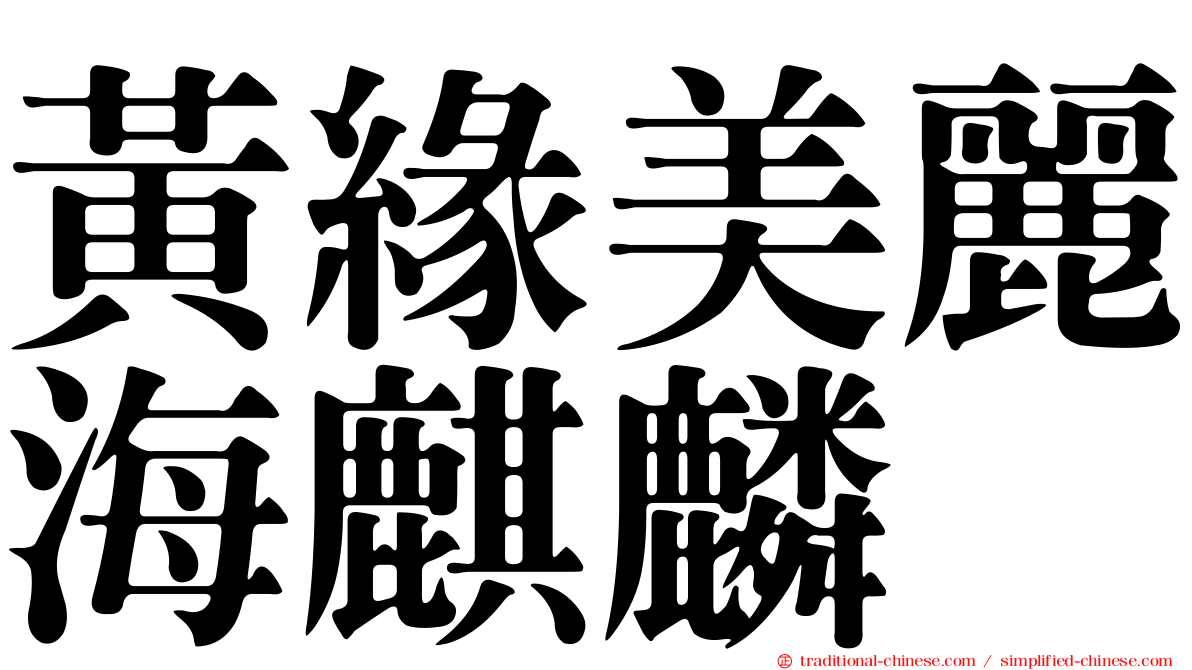 黃緣美麗海麒麟