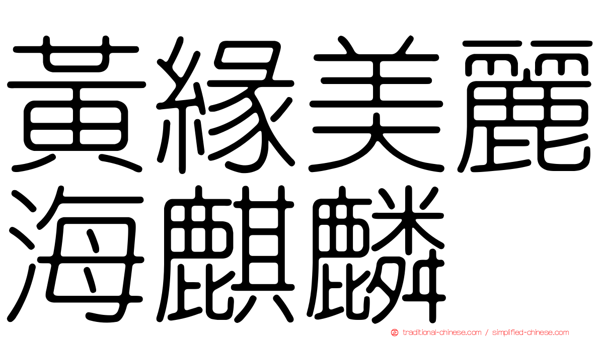 黃緣美麗海麒麟
