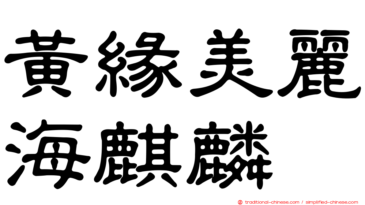 黃緣美麗海麒麟