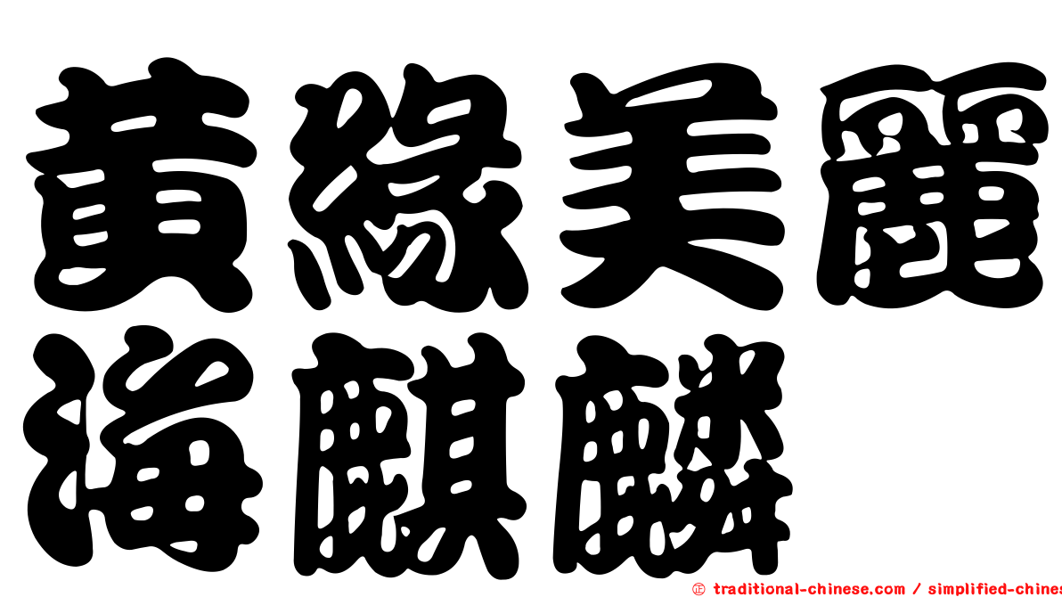 黃緣美麗海麒麟