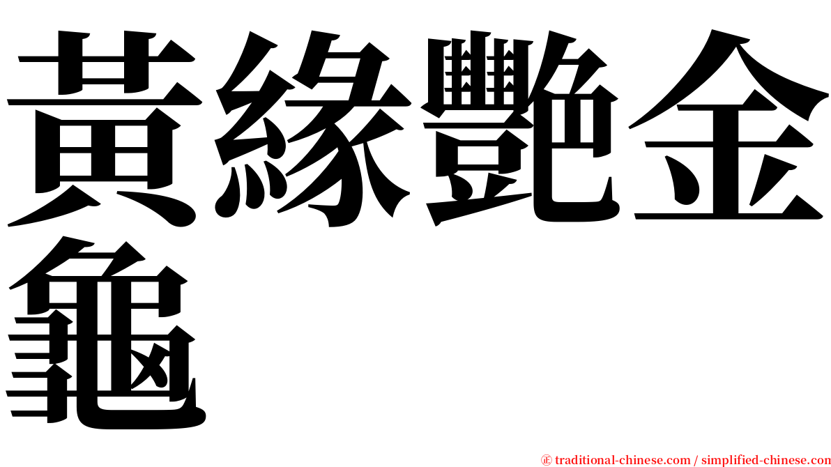 黃緣艷金龜 serif font