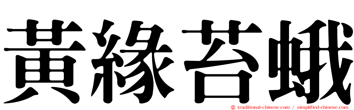 黃緣苔蛾