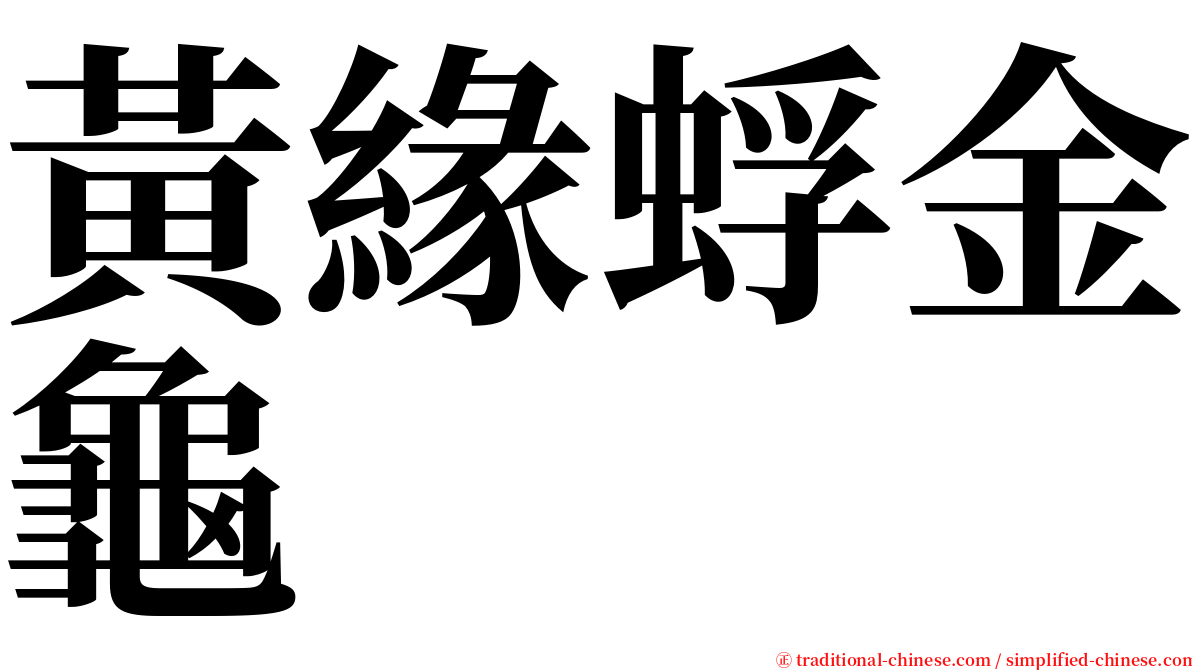 黃緣蜉金龜 serif font