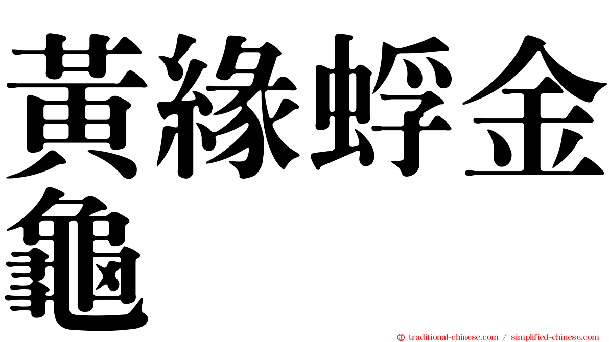 黃緣蜉金龜