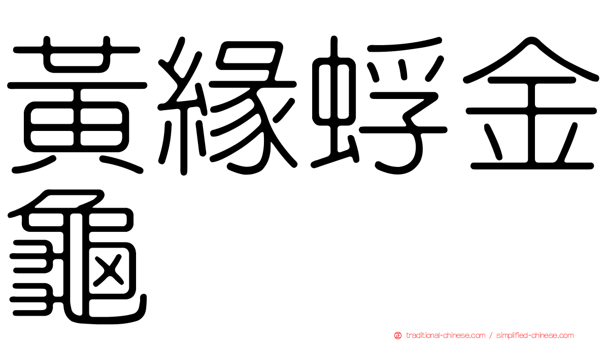 黃緣蜉金龜