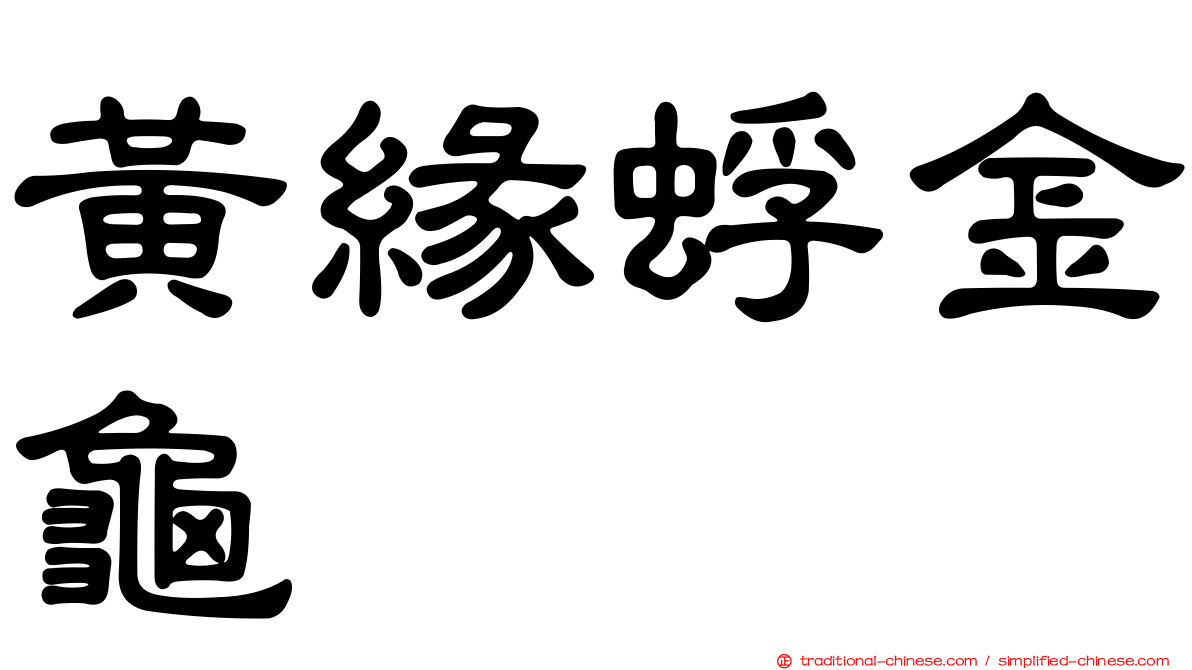 黃緣蜉金龜