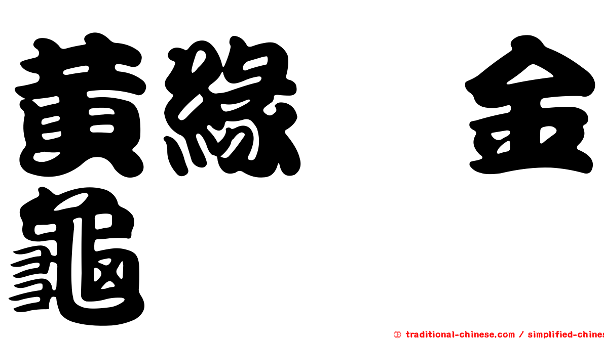 黃緣蜉金龜