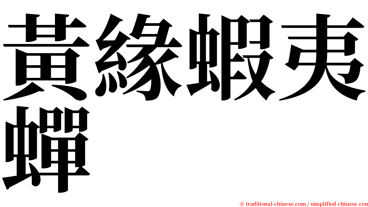 黃緣蝦夷蟬 serif font