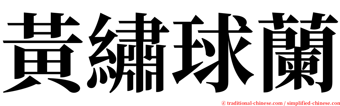 黃繡球蘭 serif font