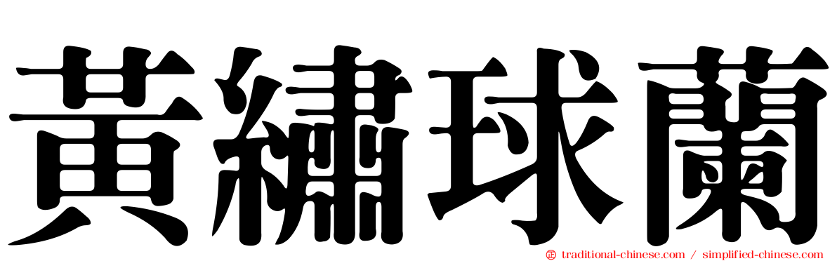 黃繡球蘭