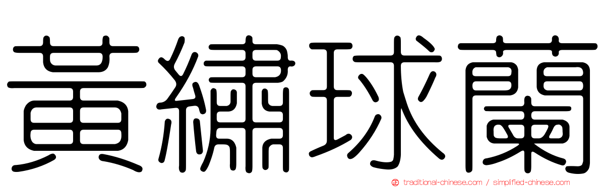 黃繡球蘭