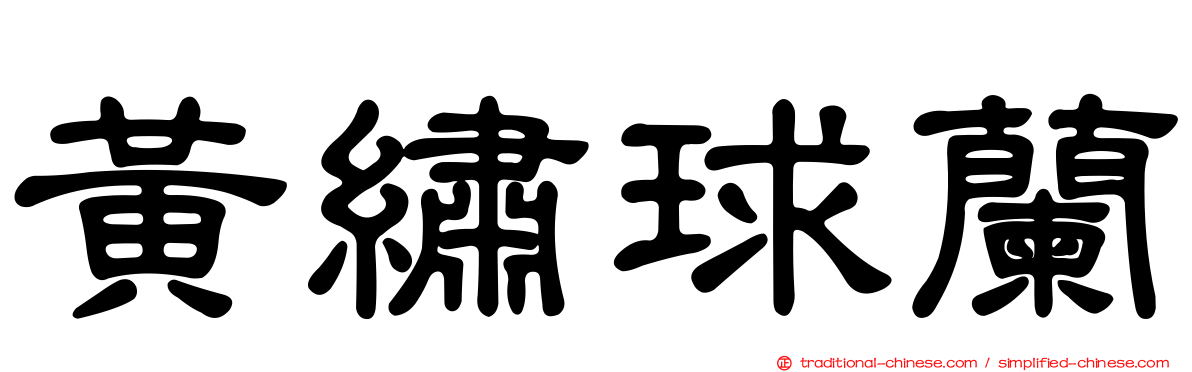 黃繡球蘭