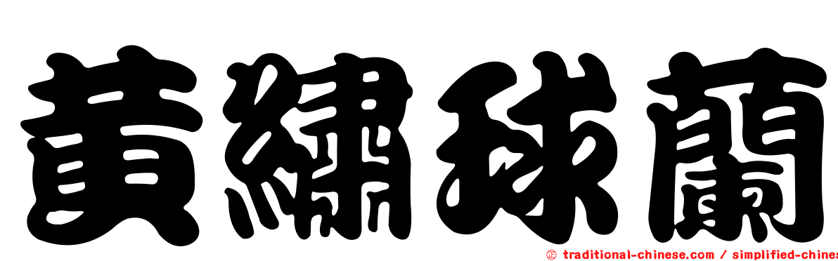 黃繡球蘭