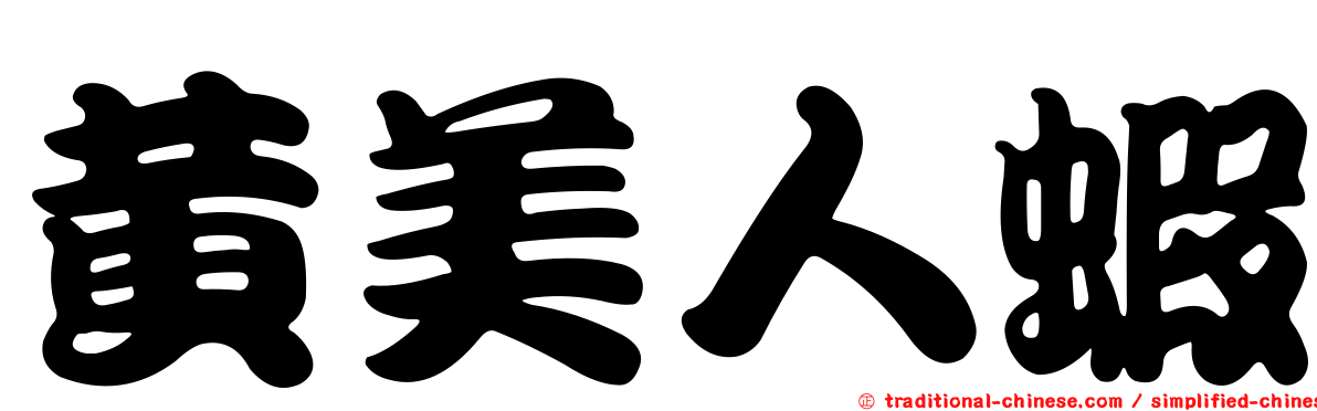 黃美人蝦