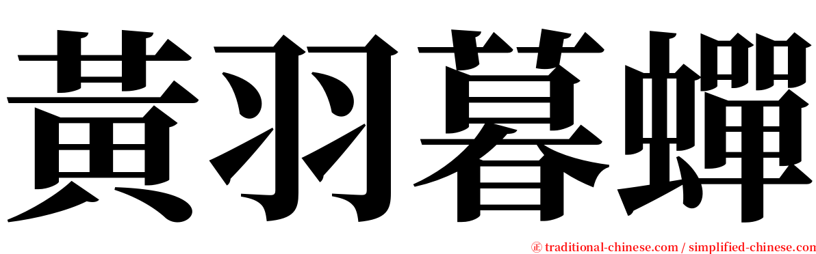 黃羽暮蟬 serif font