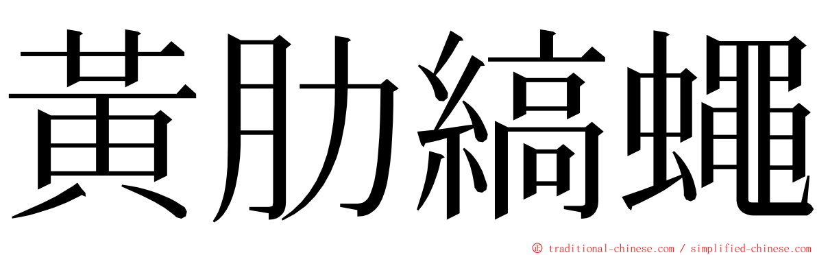 黃肋縞蠅 ming font