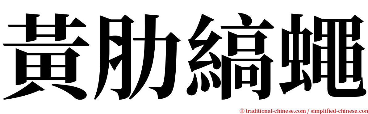 黃肋縞蠅 serif font