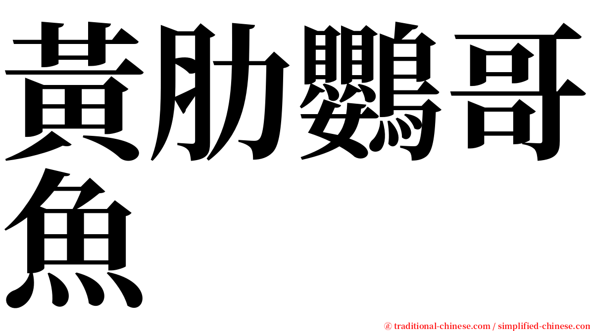 黃肋鸚哥魚 serif font