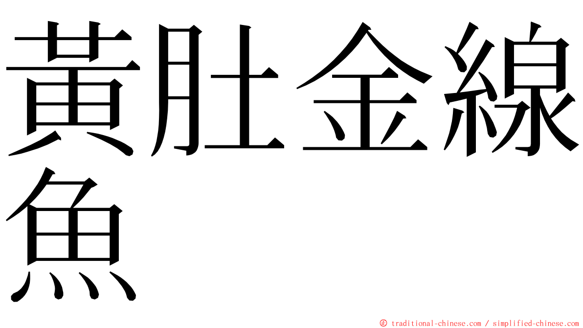 黃肚金線魚 ming font