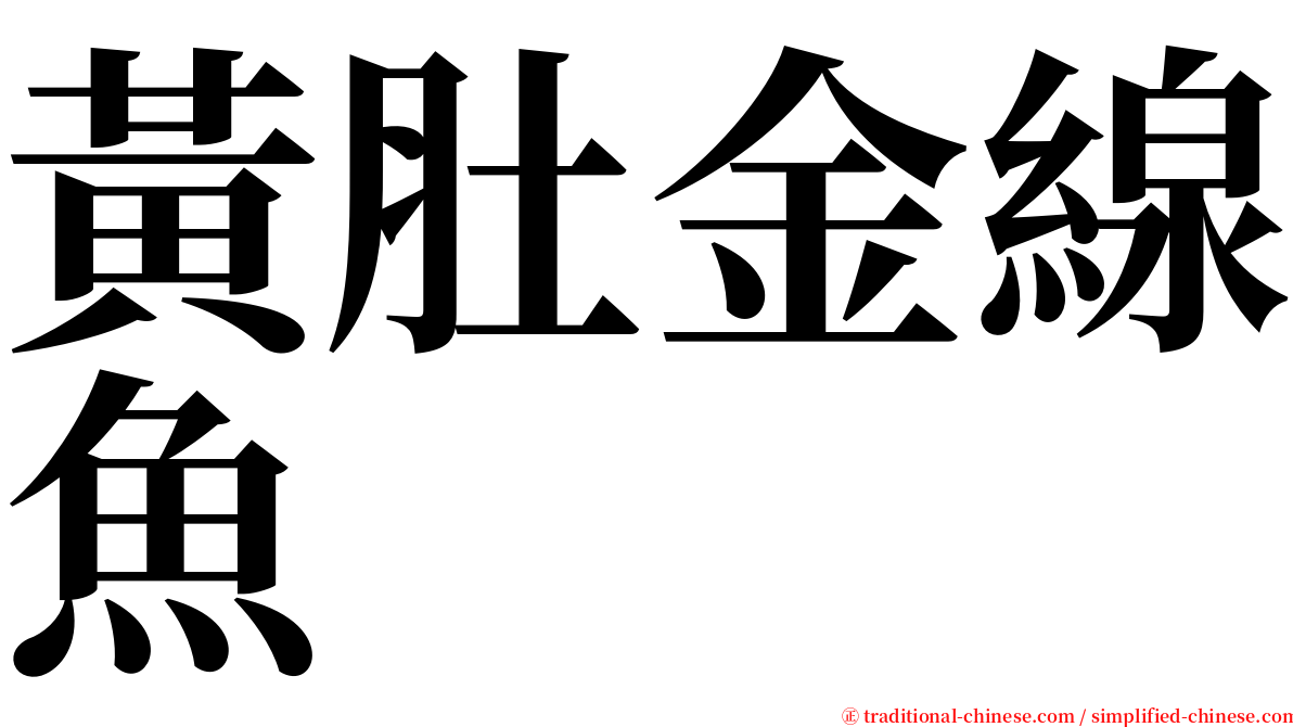 黃肚金線魚 serif font