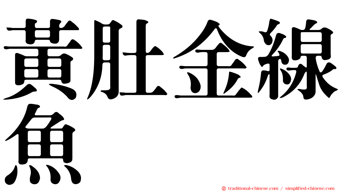 黃肚金線魚