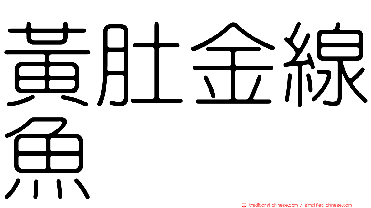 黃肚金線魚