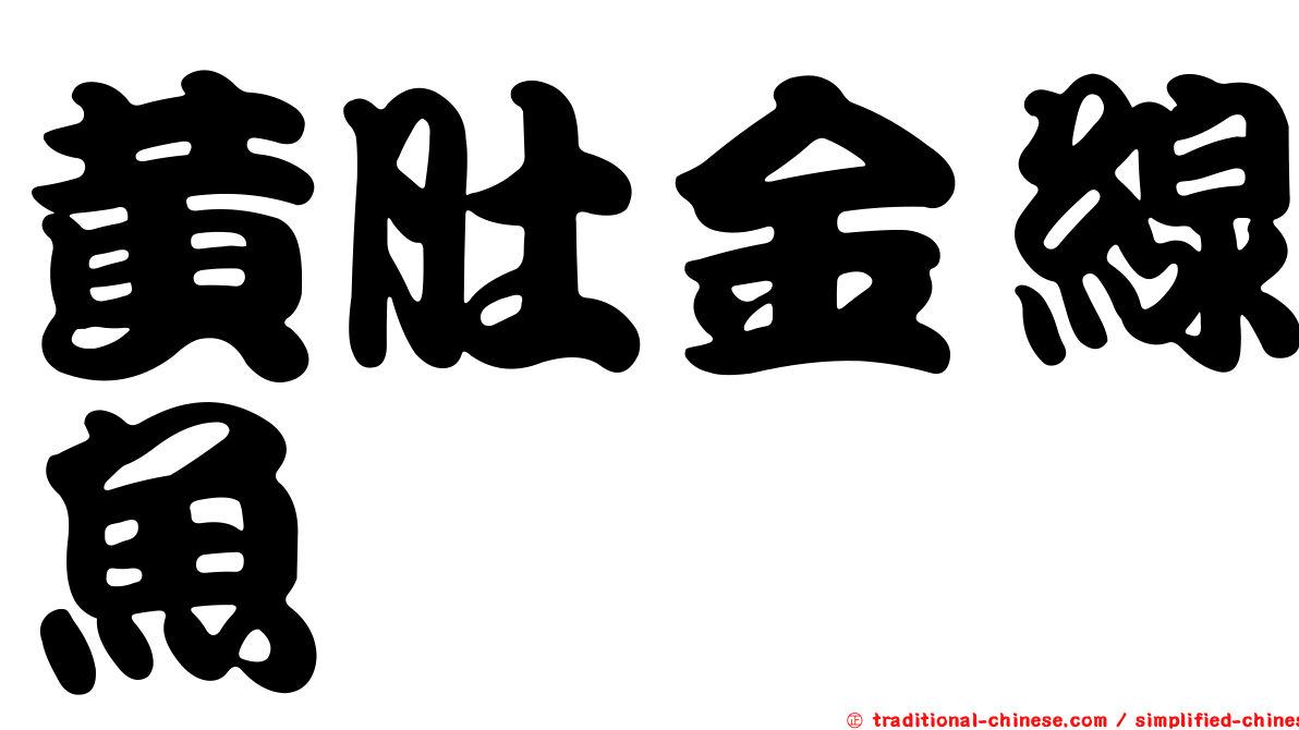 黃肚金線魚