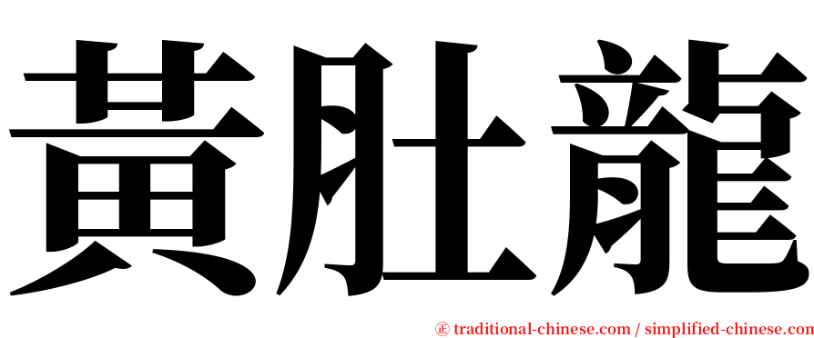 黃肚龍 serif font