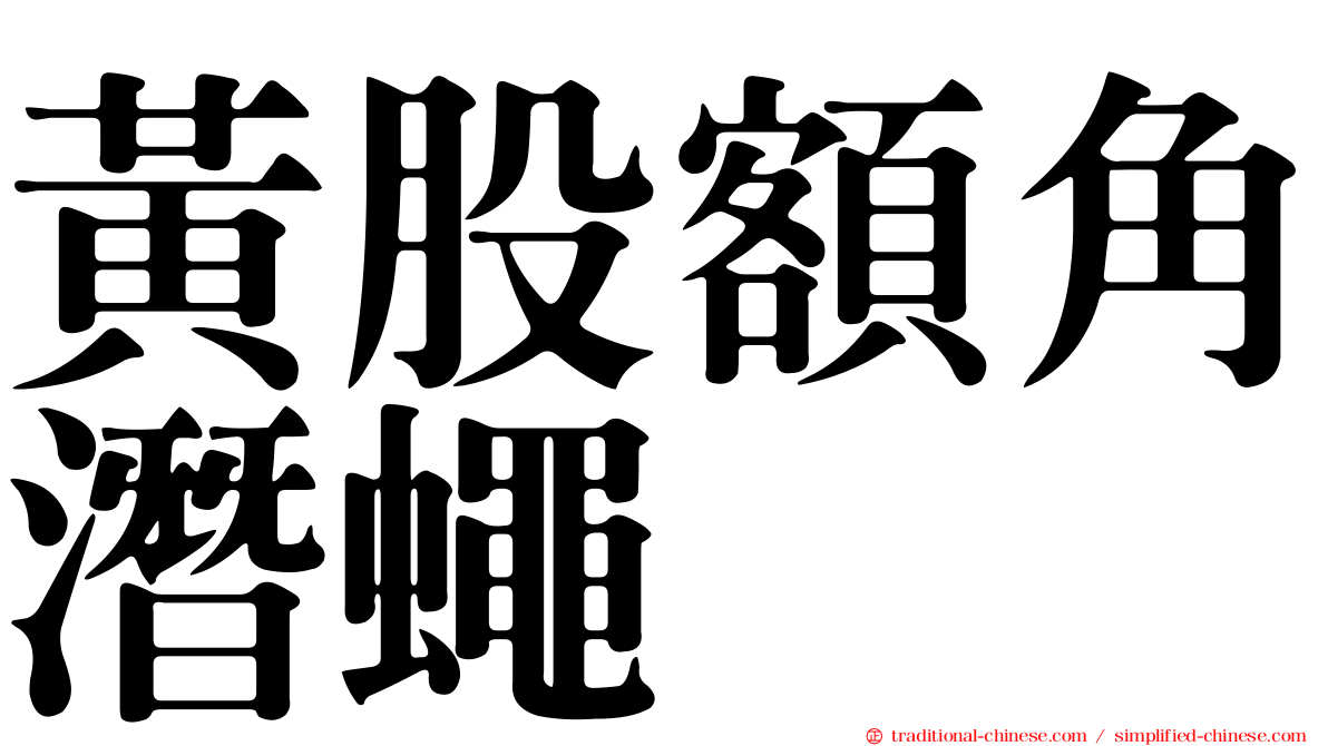 黃股額角潛蠅