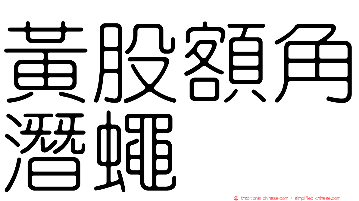 黃股額角潛蠅