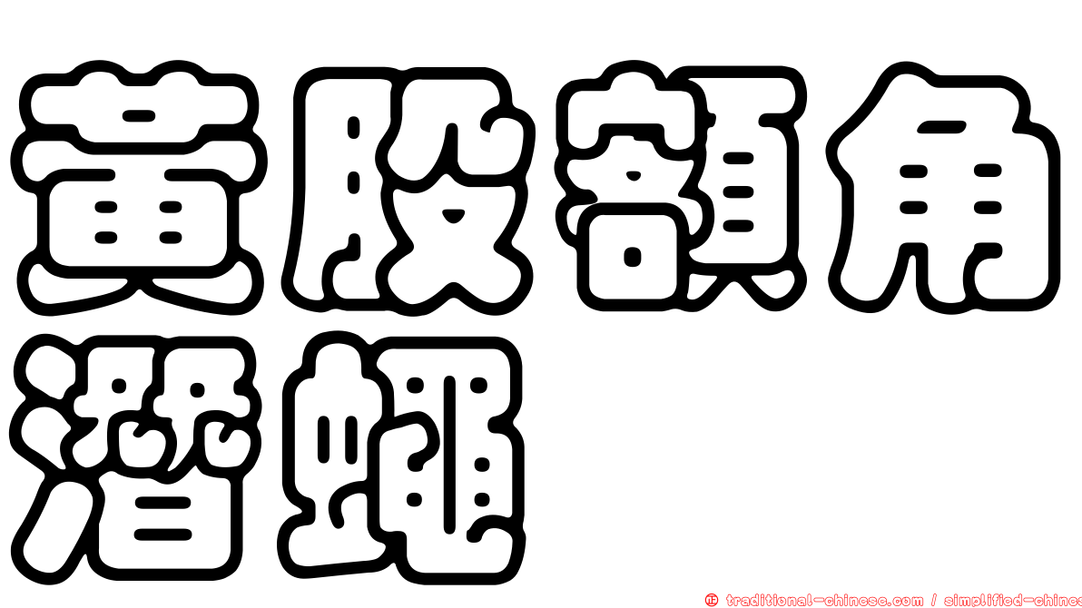 黃股額角潛蠅