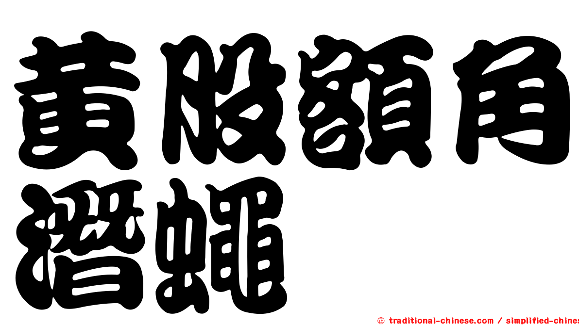 黃股額角潛蠅