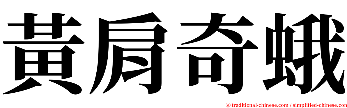 黃肩奇蛾 serif font