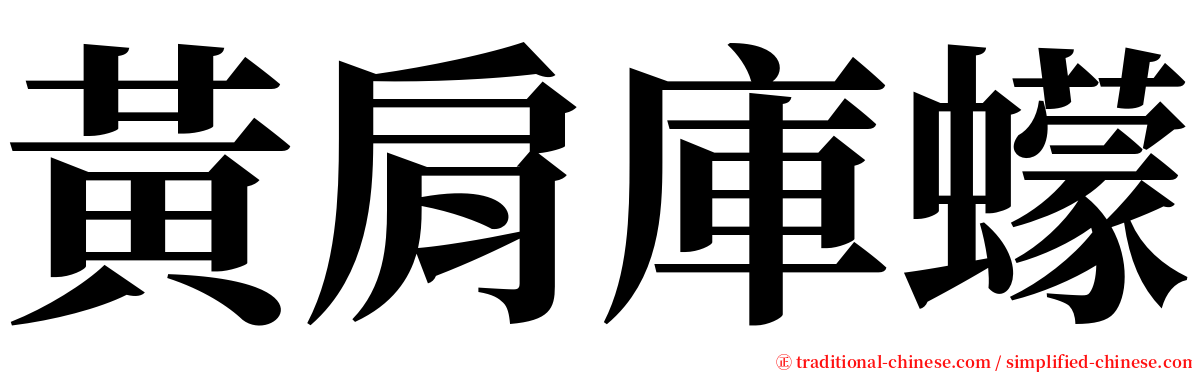 黃肩庫蠓 serif font