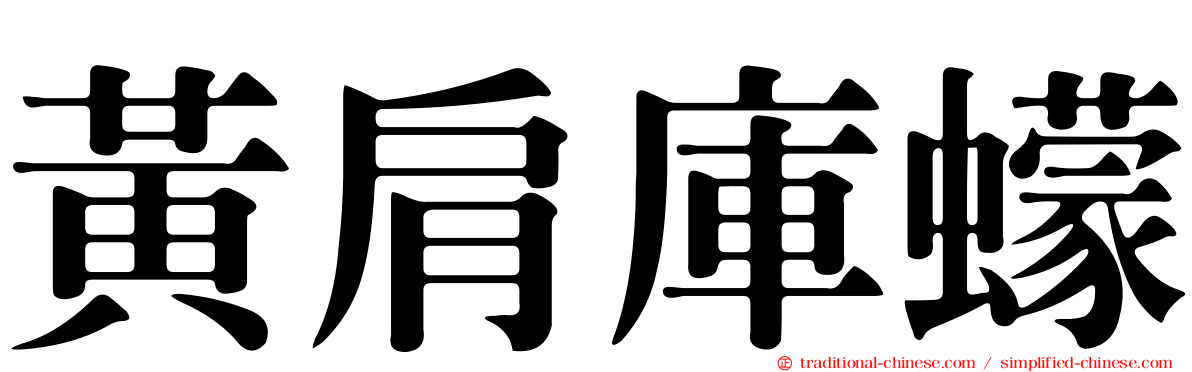 黃肩庫蠓
