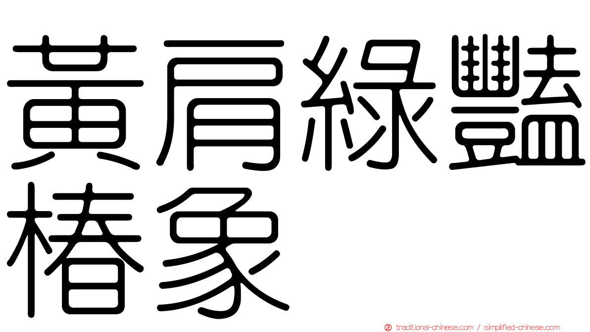 黃肩綠豔椿象
