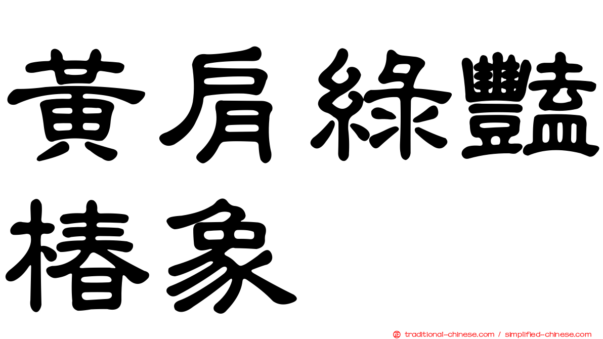 黃肩綠豔椿象