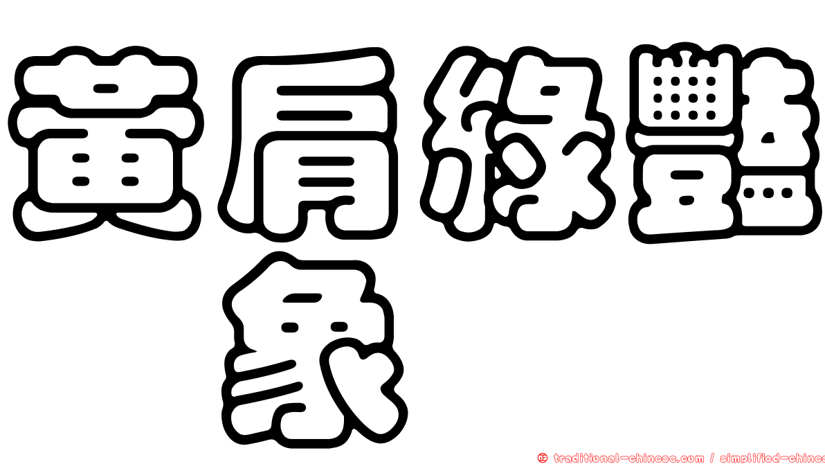 黃肩綠豔椿象