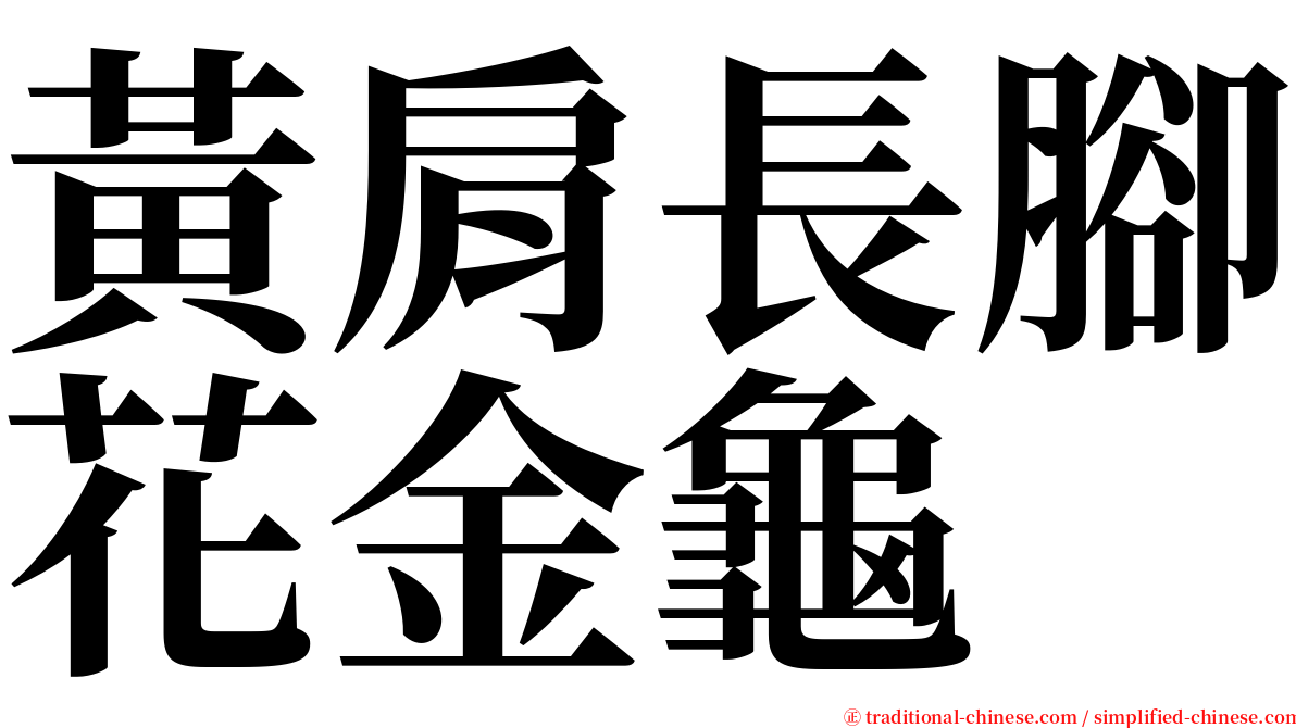 黃肩長腳花金龜 serif font