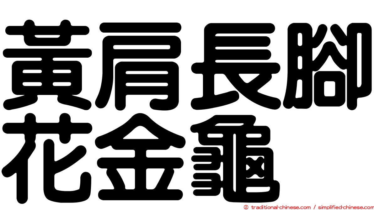 黃肩長腳花金龜