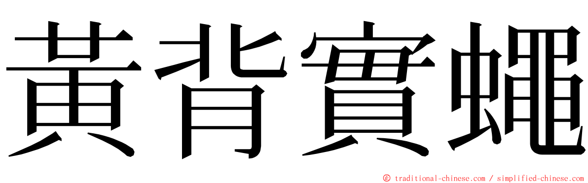 黃背實蠅 ming font