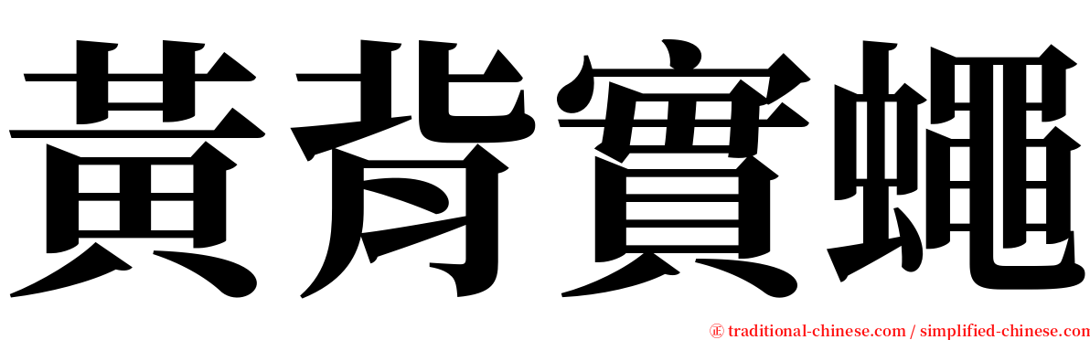 黃背實蠅 serif font