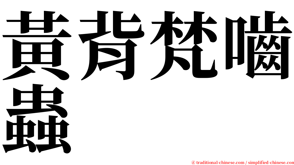 黃背梵嚙蟲 serif font