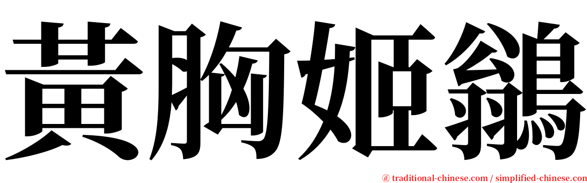 黃胸姬鶲 serif font