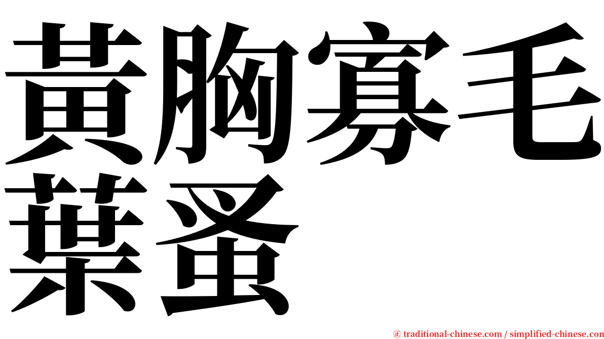 黃胸寡毛葉蚤 serif font