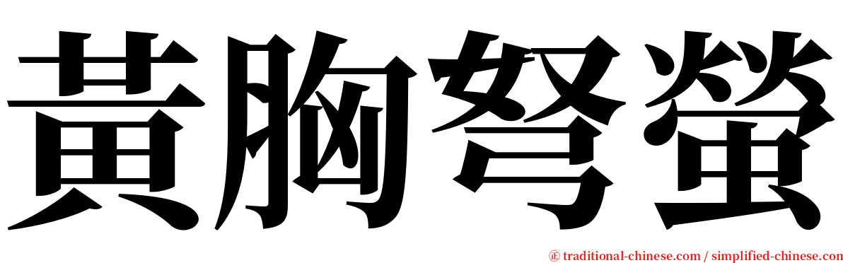 黃胸弩螢 serif font