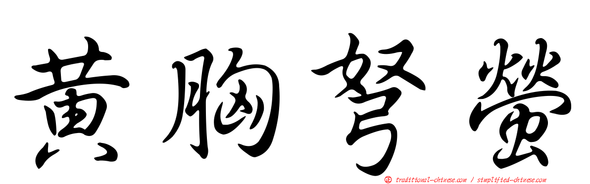 黃胸弩螢