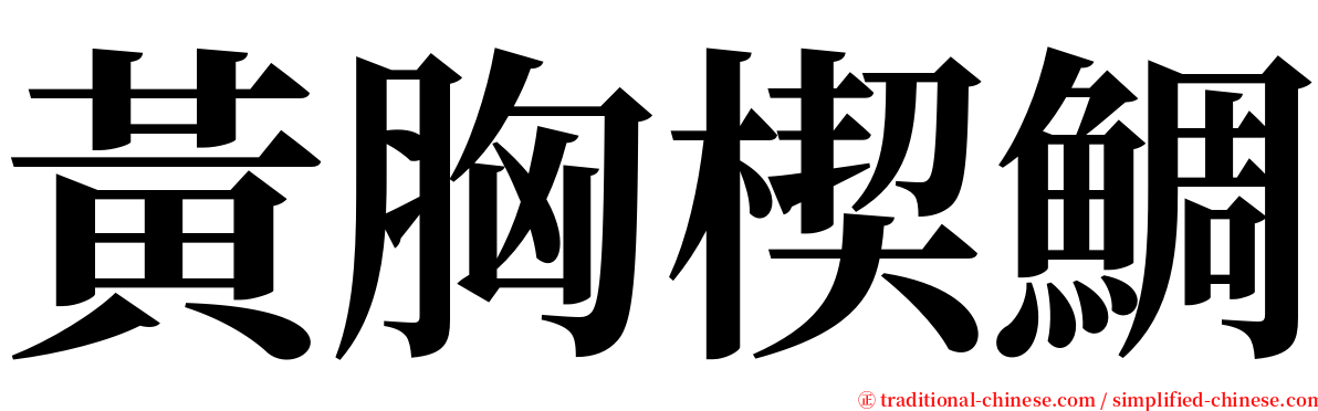 黃胸楔鯛 serif font