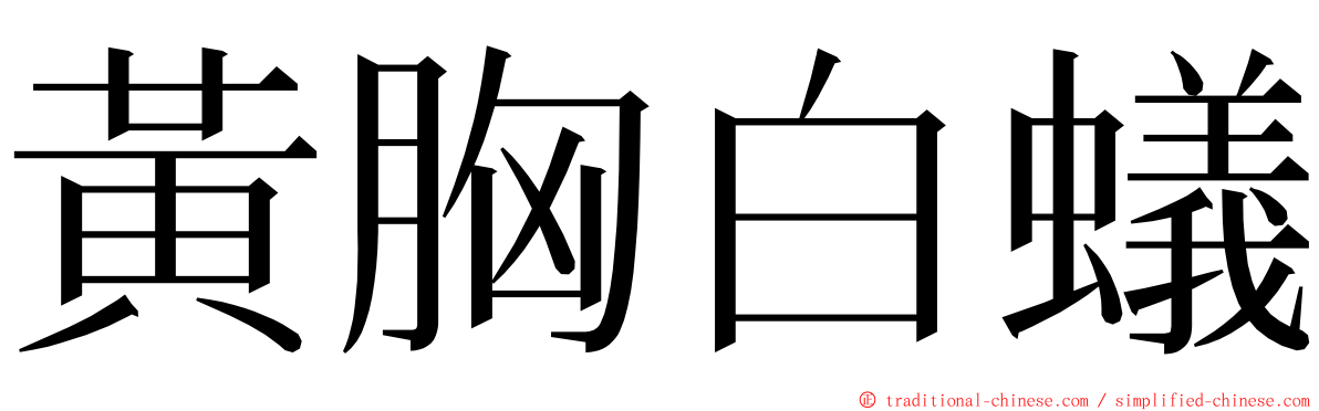 黃胸白蟻 ming font