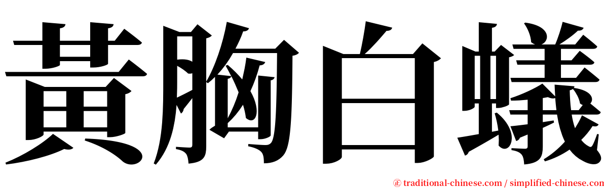 黃胸白蟻 serif font